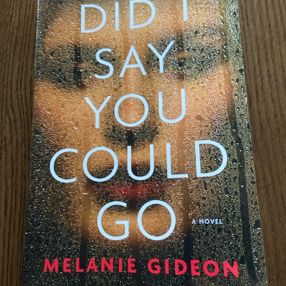 Barnes & Noble Other - Did I say you could go- fiction paperback